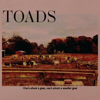 Dylan's Still a Nazi - Toads