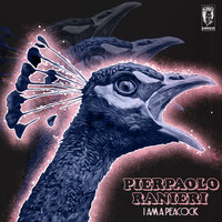 Crash - Pierpaolo Ranieri