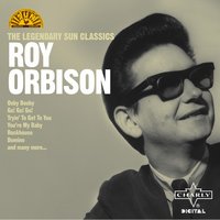 The Cause Of It All - Roy Orbison