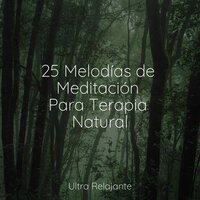 Dormido en El Bosque - Meditación Maestro & Natureza Musica Bem-Estar Academia & Piano para Dormir