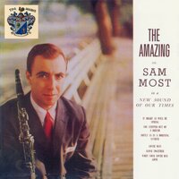 When Your Lover Has Gone - Sam Most