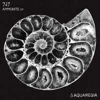 Ammon - 747