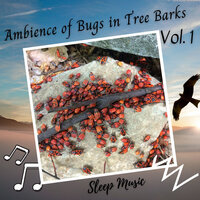 Relaxation Exercise - Forest FX & Binaural Healing & Sleep Music: Native American Flute