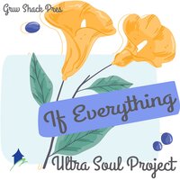 If Everything - Ultra Soul Project