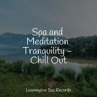 Feeling Calm - Study Music & Sounds & Academia de Música para Massagem e Relaxamento & Thunder Storm