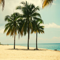 Divine Ambience for Summer Travels - French Café Jazz