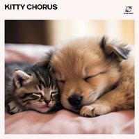 Frequency Therapy for Dogs - Dog Sleep Dreams & Soothing Dog Sounds & Music for Dogs & Healing Dog Music