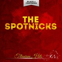 Johnny Guitar - The Spotnicks