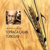 Bizim Eller Yaylasına Yürümüş - Aşık Veysel Şatıroğlu