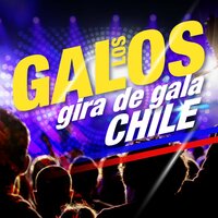 Me Enamoré Sin Darme Cuenta - Los Galos