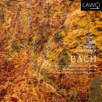 Sarabande con partite in C Major, BWV 990: Var. XI - Nils Anders Mortensen & Johann Sebastian Bach