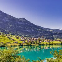 Peaceful Harmony - Deep Relaxation Meditation Academy & Tinnitus & Classical Study Music