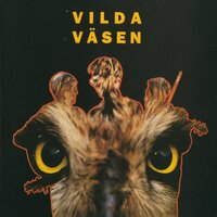 Den skicklige Molins 30-sekunderspolska / Janne Grön - Väsen