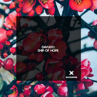 Ship of Hope - Davudo