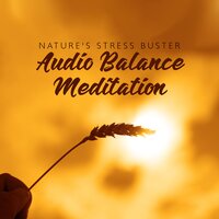 Calming Effect - Stress Relief Calm Oasis