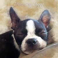 Distant Memory - Calming for Dogs & Dog Music Club & Sleepy Dogs