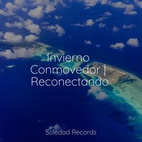 Interconectados - Dormir Sol & Meditação Maestro & Sons da Natureza Relax