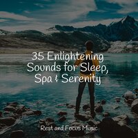 Forest Magic - Preschool Kids & Relax Meditation Sleep & Relaxing Sleep Sound