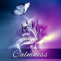 Relaxation Meditation - Calming Music Sanctuary