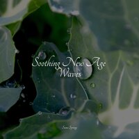 Rainy Night - Rain & Massage & Relaxing Nature Music