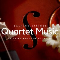Badminton - Violin Music & Violins & Calming Strings