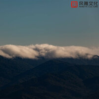 田野的季尾草 -古筝 - 轻松音乐