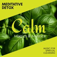 Chinese Healers - Relaxing Minds
