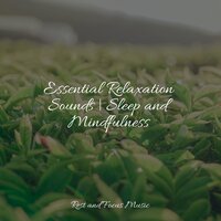 Breathing - Meditation & Stress Relief Therapy & Entspannungsmusik Meer & Avslappning Sound