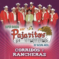 Señor de los Cerros - Los Pajaritos De Tacupa