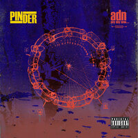 Focused? - Pinder & Choice & Gifted Gab