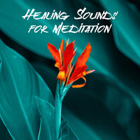Transformation - Meditation Music Zone