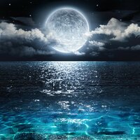 Live Your Life - Massage Music, Spa & Spa, Sleep Music Therapy & Massage Music & Spa & Spa & Sleep Music Therapy