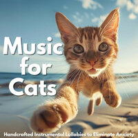 Serene Sunset Serenity - RelaxMyCat & Cat Music Dreams & Cat Music Zone