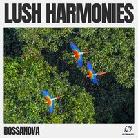 Coffee Shop Bossa Nova - Bossanova