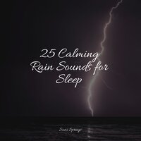 Sidewalk Rain - White Noise Babies & Sonidos de lluvia para dormir & Rain Sounds Sleep