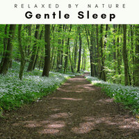 Travels of Soothing Dreams and Magnificent Rest pt. 1 - Gentle Outdoors