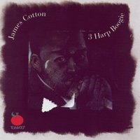 South Side Boogie - James Cotton