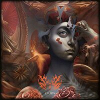 FLORA - stxrz