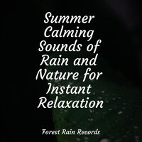 White Noise Waterfall - Regen zum Schlafen & It's Raining