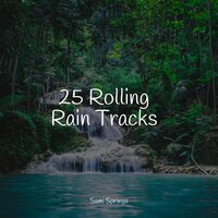 Easy Droplets - Deep Sleep Music Experience & Healing Sounds for Deep Sleep and Relaxation & Tinnitus