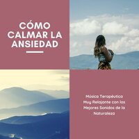 Ejercicios de Relajación para el Estrés - Nueva Era Especialistas