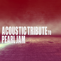 Just Breathe - Guitar Tribute Players