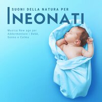 Bambino Indaco - Musica per Dormire Profondamente