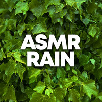 Rain Whispers - Relaxing Rain Sounds