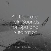 Relaxing Storm (Rain and Thunder) - Nature Sounds Radio & Study Music & Sounds & Schlaflieder Für Kinder