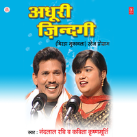 Rakhi Ki Keemat - Kavita Krishnamurthy