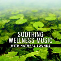 Comfort Zone – Soothing Sanctuary - Wellness Spa Music Oasis