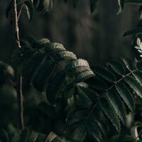 Midnight Meanderings - Relaxation Sleep Meditation & Sounds of Nature White Noise for Mindfulness Meditation and Relaxation & Sleepy Night Music