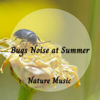 Beauty Within Nature - Nature Recordings & Relax My Cat & Sleep Sounds Of Nature