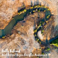 Desolate Forest Region Riverflow Ambience, Pt. 18 - Steve Brassel